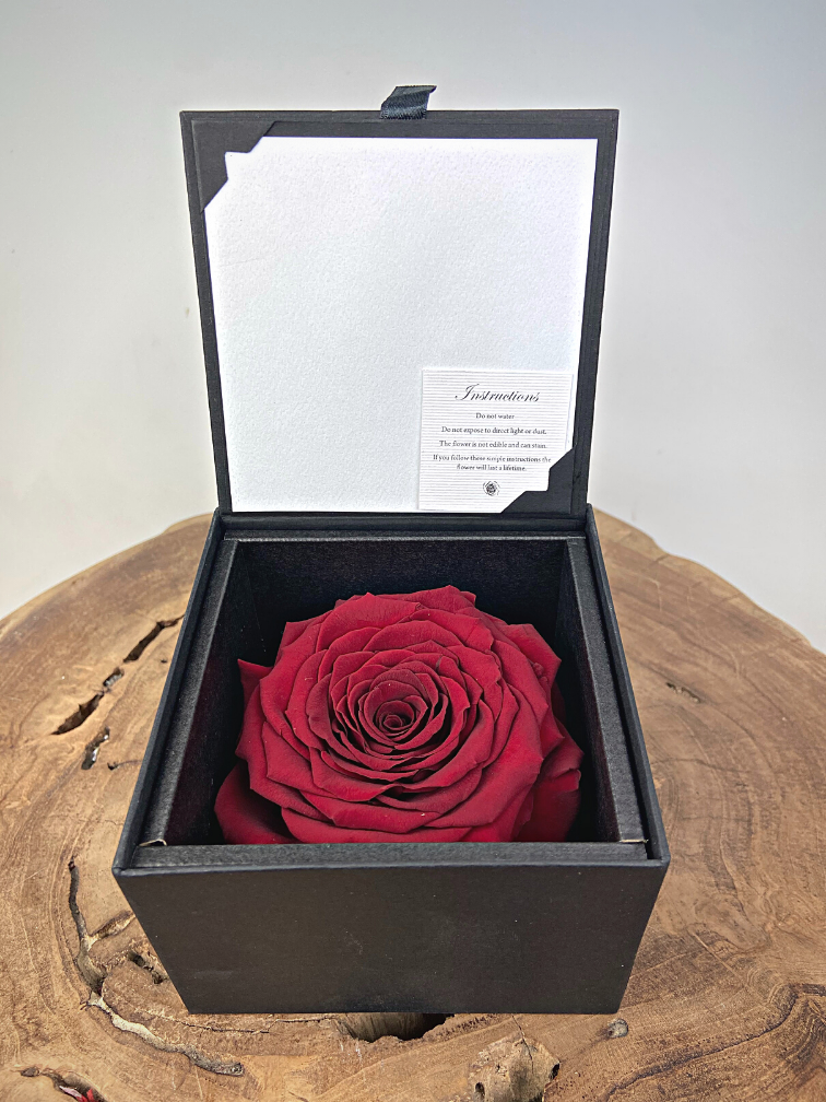Rose 'rouge' de longue vie dans un coffret cadeau | LARGE