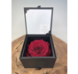 Rose 'rouge' de longue vie dans un coffret cadeau | LARGE