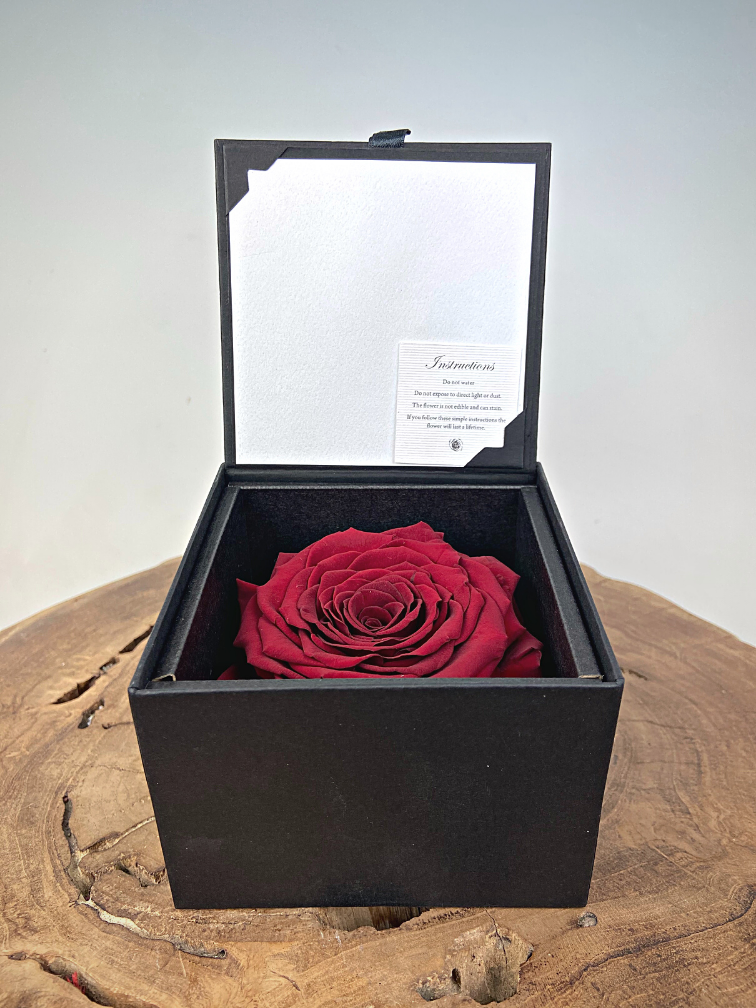 Rose 'rouge' de longue vie dans un coffret cadeau | LARGE