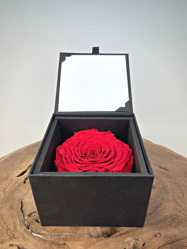 Longlife Rose 'rot' in Geschenkbox | LARGE