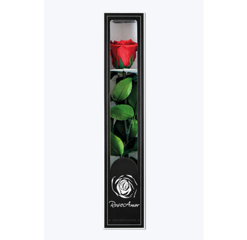 Longlife Rose 30cm in Geschenkbox