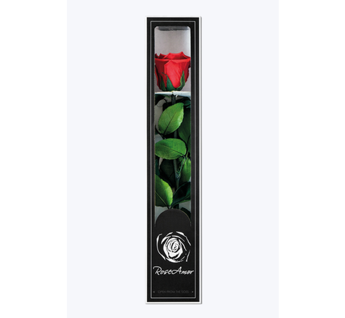 Rose Longlife 30cm dans une boîte cadeau