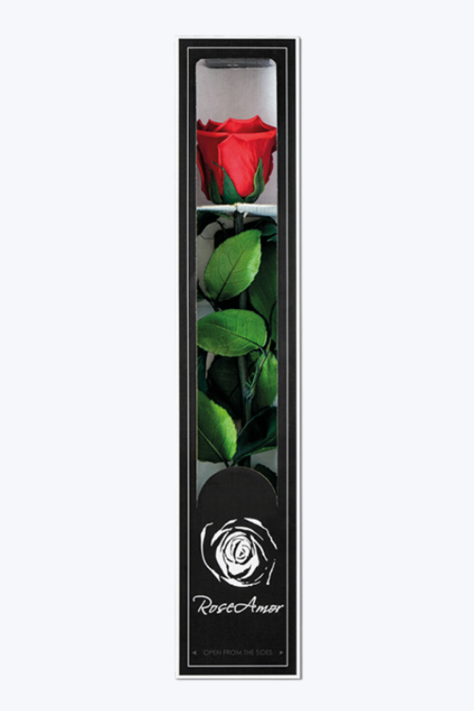 Rose Longlife 30cm dans une boîte cadeau