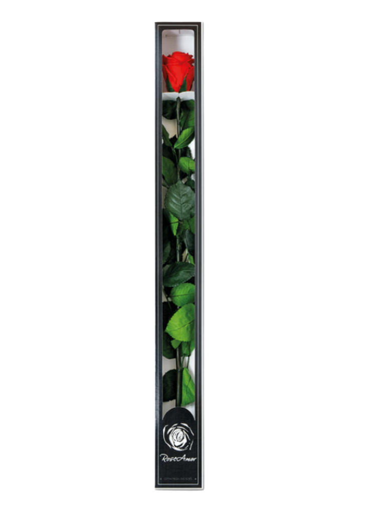 Rose Longlife 70cm dans une boîte cadeau