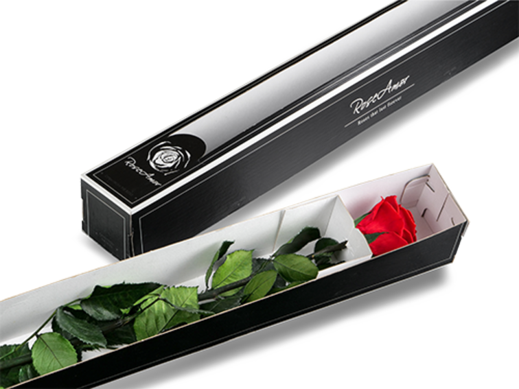 Róża Longlife 70 cm w pudełku upominkowym