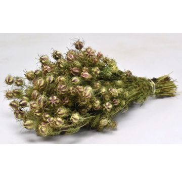 Nigella "naturale