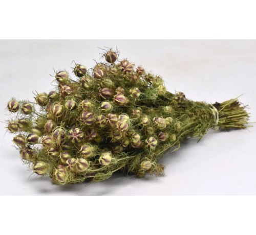 Nigelle "naturelle