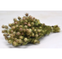 Nigella "naturale