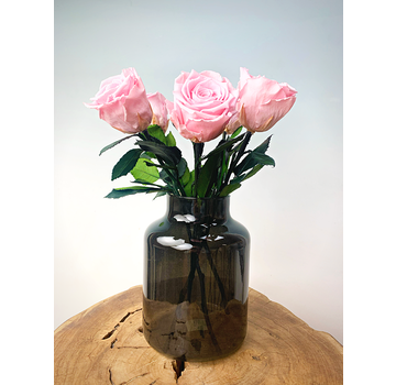 Ramo de rosas Longlife (5 piezas) incl. jarrón gratis | Rosa