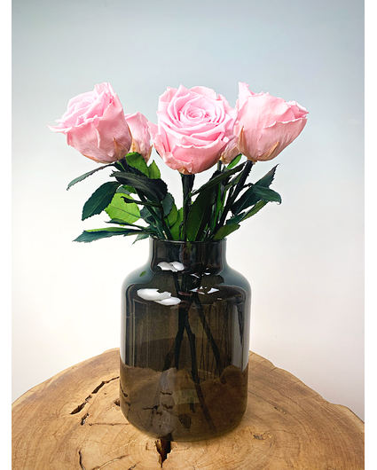 Bouquet di rose Longlife (5 pezzi) con vaso in omaggio | Rosa