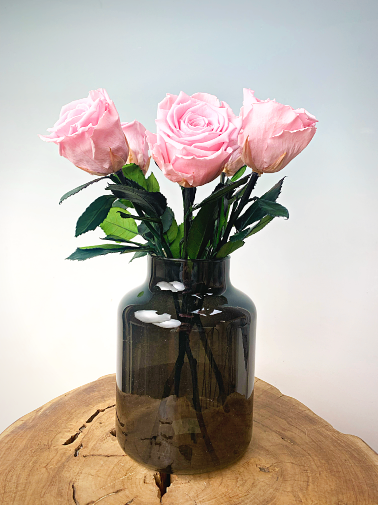 Bouquet di rose Longlife (5 pezzi) con vaso in omaggio | Rosa