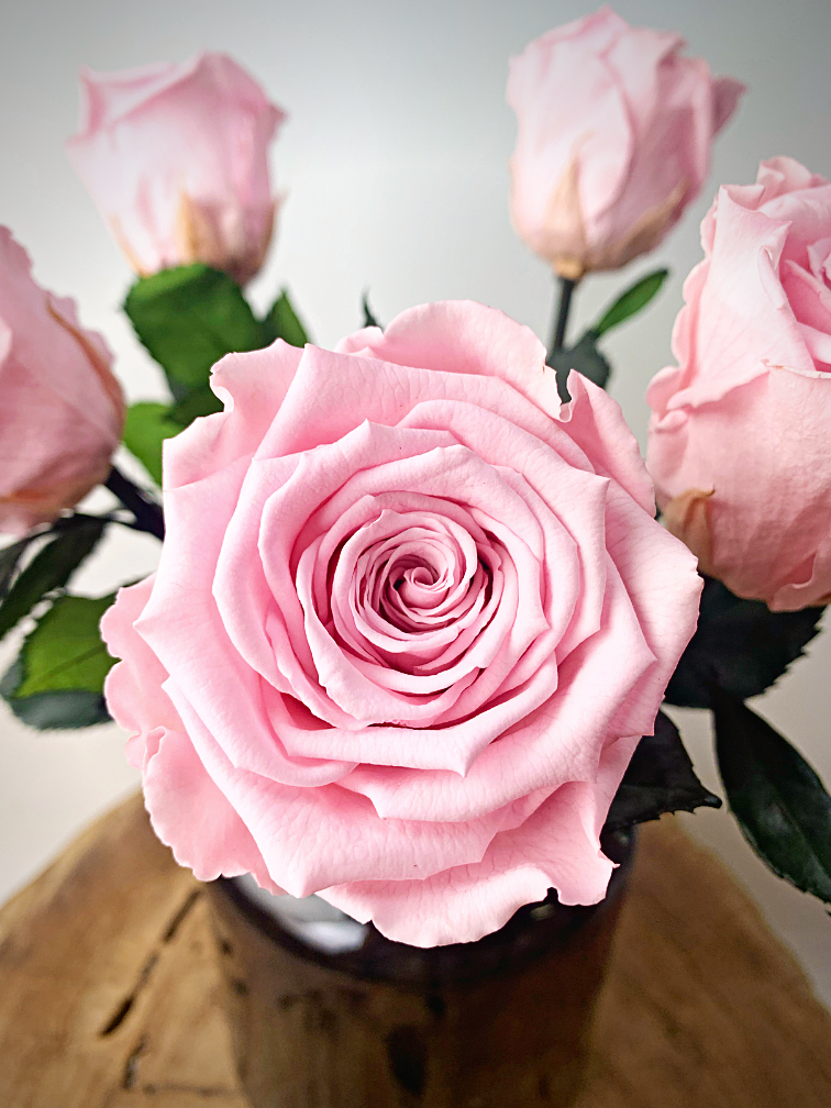 Bouquet di rose Longlife (5 pezzi) con vaso in omaggio | Rosa