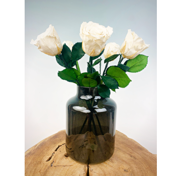 Bouquet di rose Longlife (5 pezzi) con vaso in omaggio | Bianco
