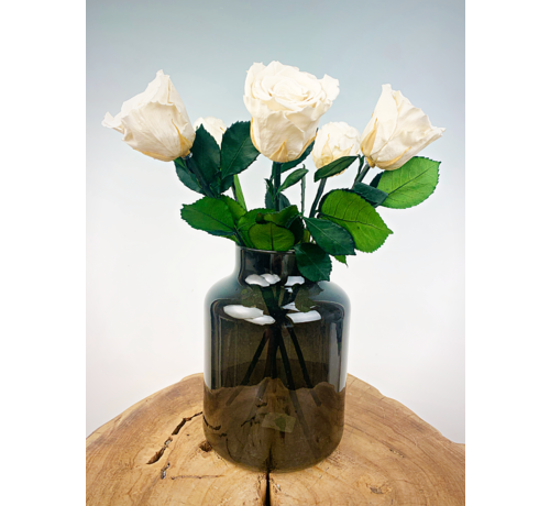 Bouquet di rose Longlife (5 pezzi) con vaso in omaggio | Bianco