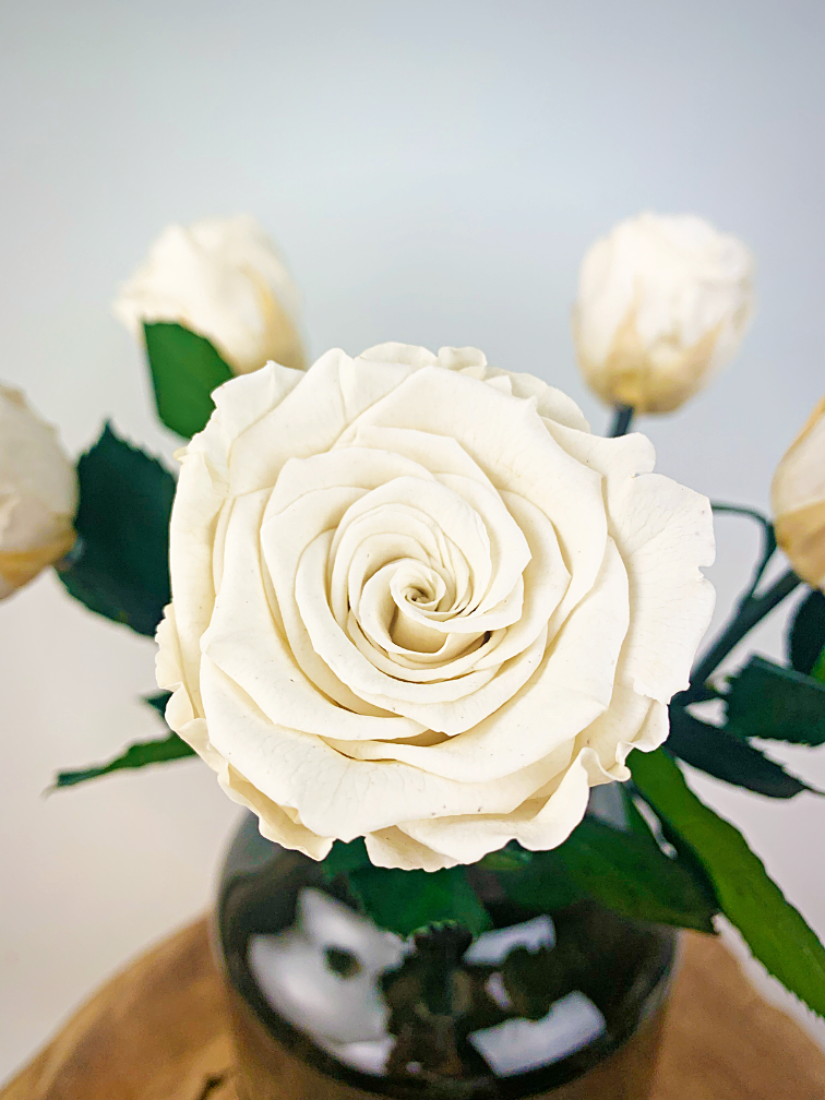 Bouquet di rose Longlife (5 pezzi) con vaso in omaggio | Bianco