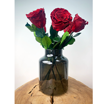 Bouquet di rose Longlife (5 pezzi) con vaso in omaggio | Red Diamond