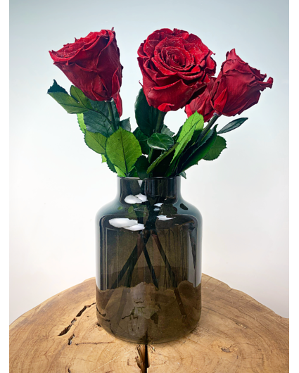 Ramo de Rosas Larga Vida (5 piezas) incl. jarrón gratis | Diamante Rojo
