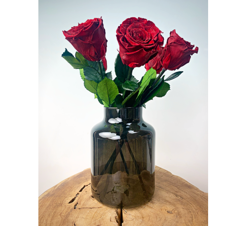Ramo de Rosas Larga Vida (5 piezas) incl. jarrón gratis | Diamante Rojo