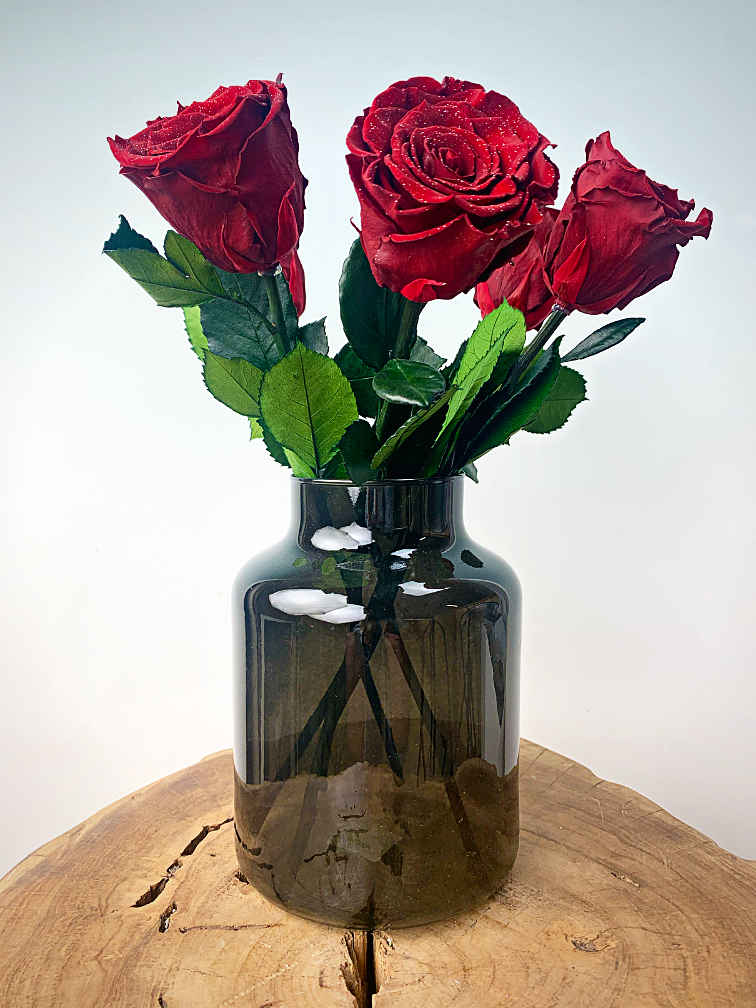 Ramo de Rosas Larga Vida (5 piezas) incl. jarrón gratis | Diamante Rojo