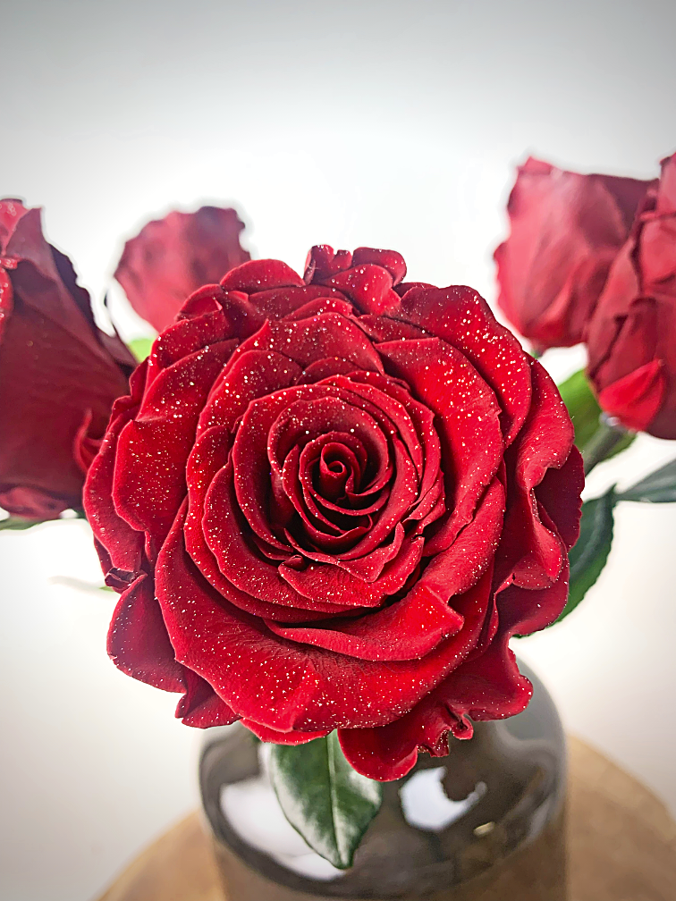 Ramo de Rosas Larga Vida (5 piezas) incl. jarrón gratis | Diamante Rojo