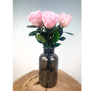 Longlife Rosewood (5 pezzi) rosa, incluso il contenitore del latte nero