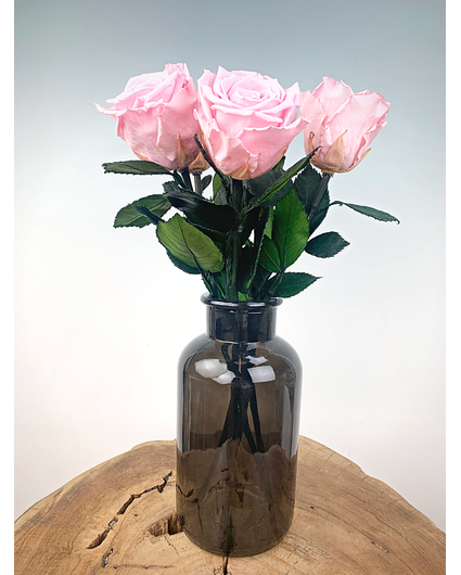 Longlife Rosewood (5 Stück) rosa inkl. schwarzem Milchkännchen