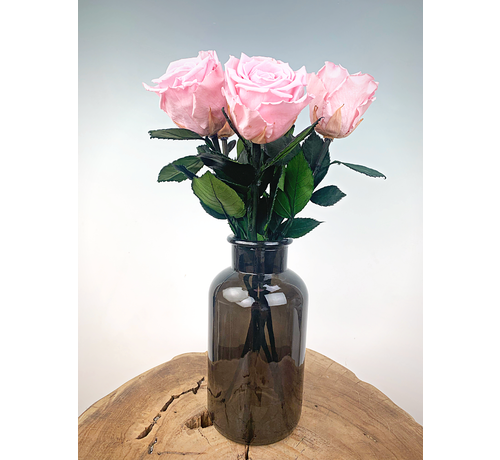 Longlife Rosewood (5 pezzi) rosa, incluso il contenitore del latte nero