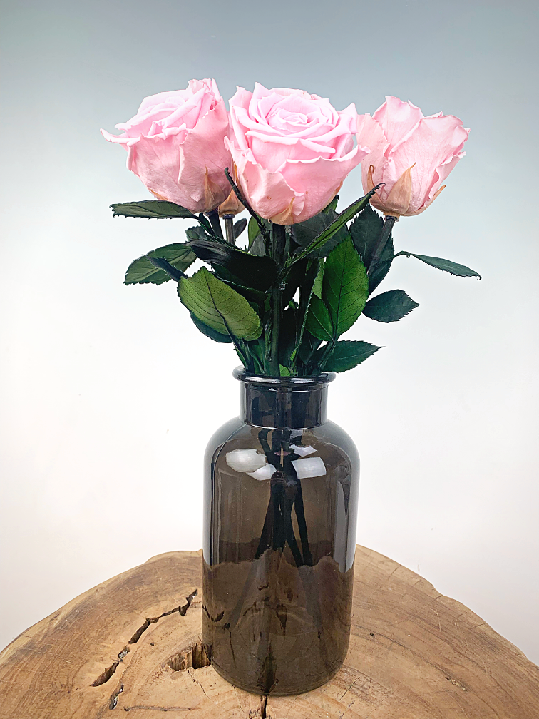 Longlife Rosewood (5 pezzi) rosa, incluso il contenitore del latte nero