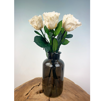 Longlife Rosewood (5 pièces) blanc incl. boîte à lait noire