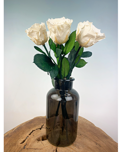 Longlife Rosewood (5 pezzi) bianco con contenitore nero per il latte