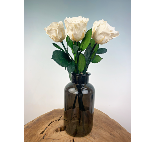 Longlife Rosewood (5 pezzi) bianco con contenitore nero per il latte