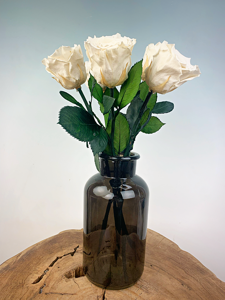 Longlife Rosewood (5 pezzi) bianco con contenitore nero per il latte