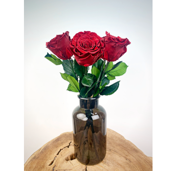 Longlife Rosewood (5 pezzi) rosso con contenitore nero per il latte