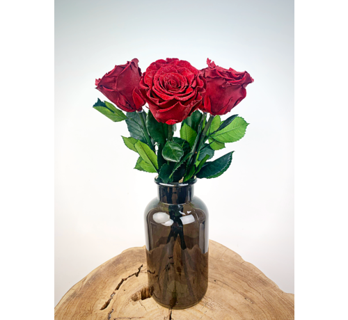 Longlife Rosewood (5 pezzi) rosso con contenitore nero per il latte