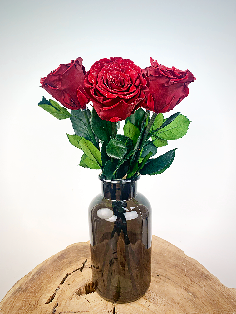 Longlife Rosewood (5 pezzi) rosso con contenitore nero per il latte