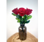 Longlife Rosewood (5 pezzi) rosso con contenitore nero per il latte