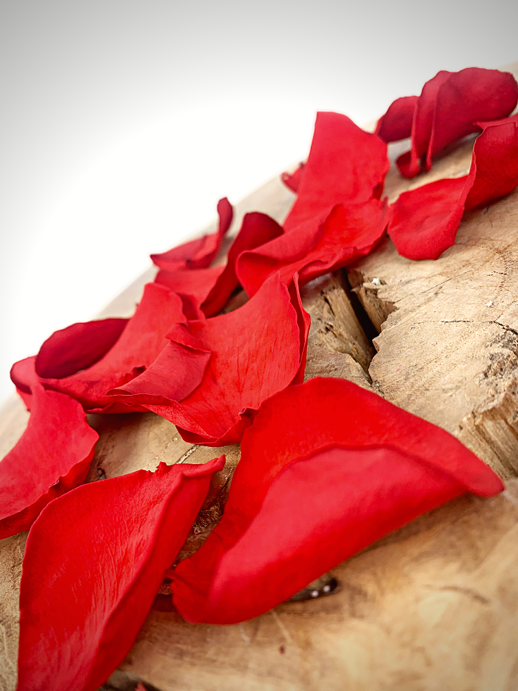 Langlebige Rosenblütenblätter