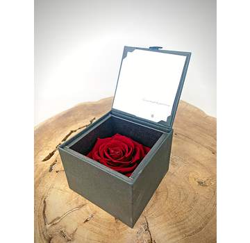 Longlife Rose 'dunkelrot' in Geschenkbox | SMALL