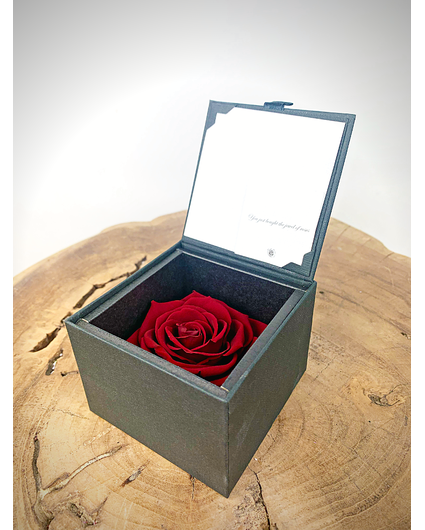 Longlife Rose 'dunkelrot' in Geschenkbox | SMALL