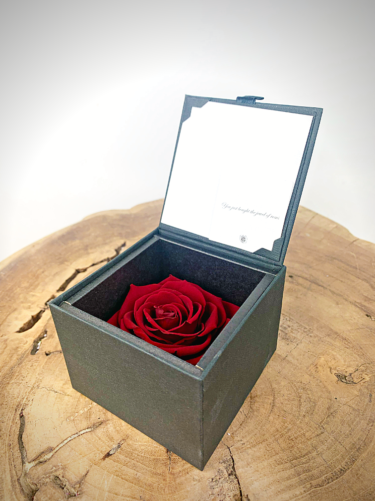 Longlife Rose 'dunkelrot' in Geschenkbox | SMALL