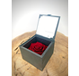 Longlife Rose 'dunkelrot' in Geschenkbox | SMALL