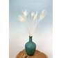 Ramo de flores secas "Dragon Blues" | 55cm - incl. jarrón