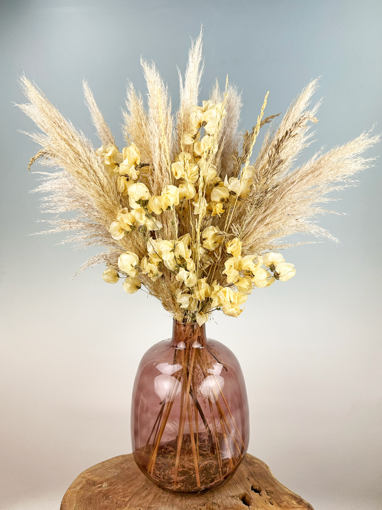Bouquet di fiori secchi "Morning Latte" | 75cm