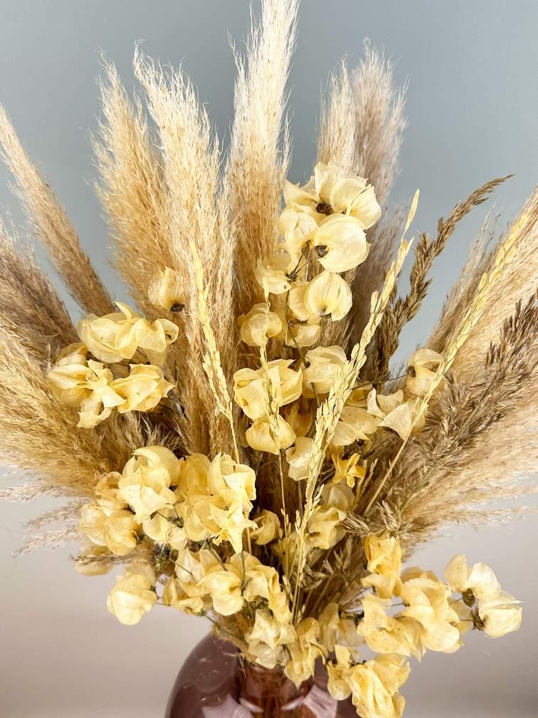 Bouquet di fiori secchi "Morning Latte" | 75cm
