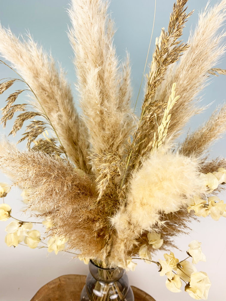 Bouquet di fiori secchi "Morning Latte" | 75cm