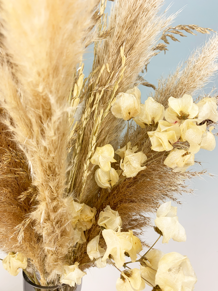 Bouquet di fiori secchi "Morning Latte" | 75cm