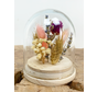 Agotado - Mini campana de cristal con flores secas "Rosa" | 8x10cm