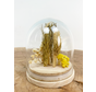 Mini-cône avec fleurs séchées "Jaune" | 8x10cm