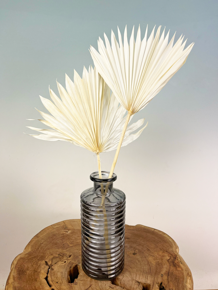 Feuilles de palmier en vrac (deux morceaux) | 50cm