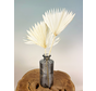Feuilles de palmier en vrac (deux morceaux) | 50cm